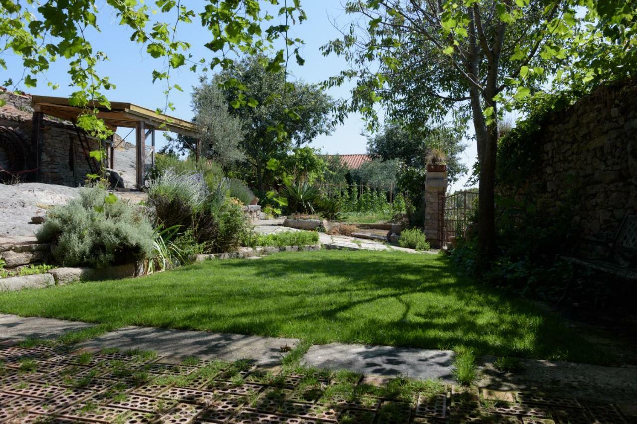 Casa Rural Caenia Grupos Traguntia Εξωτερικό φωτογραφία